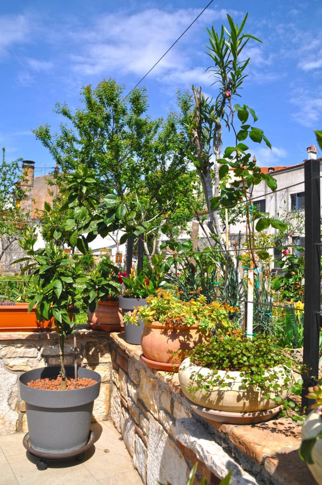 Apartment Delight City Ρόβινι Εξωτερικό φωτογραφία